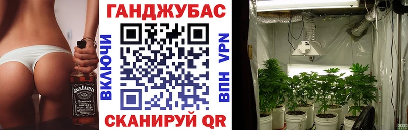 Как найти наркотики Нерчинск Псилоцибиновые грибы Cocaine Меф ГАШ