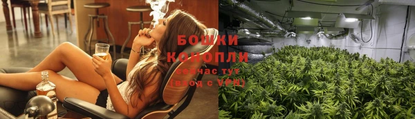 МДПВ Богородицк