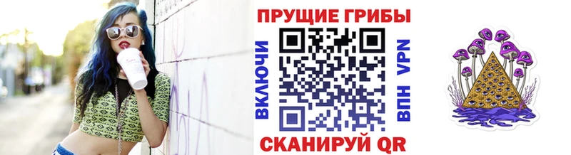 Псилоцибиновые грибы Magic Shrooms  закладки  Нерчинск 